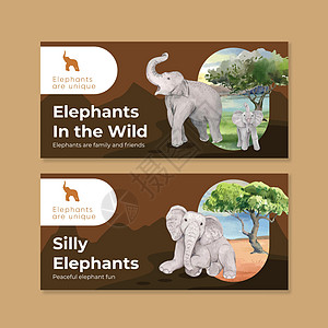 具有大象趣味概念 水彩风格的票证模板绘画哺乳动物丛林荒野灰色动物插图野生动物力量獠牙图片
