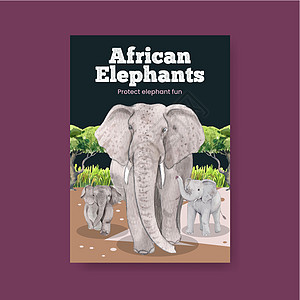 海报模板与大象有趣的概念 水彩风格传单灰色广告獠牙绘画插图力量小册子荒野野生动物图片