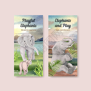 毕业照片具有大象趣味概念 水彩风格的传单模板荒野灰色插图营销广告绘画树干动物动物园哺乳动物插画
