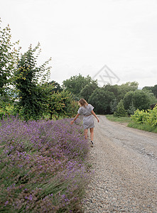 妇女走在紫衣草田边农村国家蓝色农场紫色小路旅行季节花园女士图片