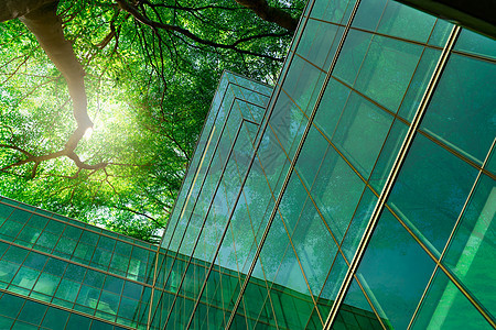 现代城市中的环保建筑 带叶子的绿色树枝和可持续的玻璃建筑 用于减少热量和二氧化碳 办公楼绿化环境 去绿色概念金融植物办公室财产窗图片