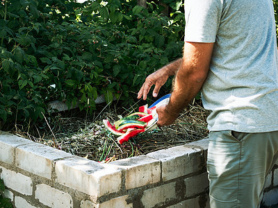 男人在后院的堆肥中扔垃圾食品图片