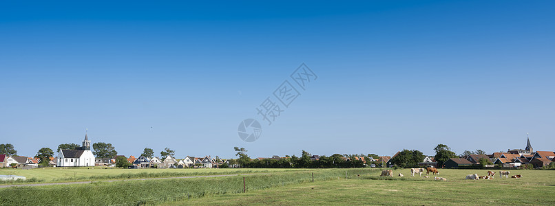 杜奇岛特克塞尔岛背景中的牛群和乌代斯柴尔德村草原景观图片
