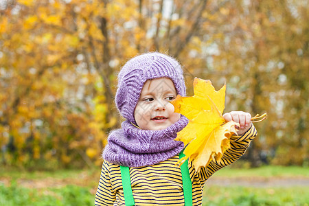 一个穿着紫色编织帽和围巾的孩子 秋天树背景下孩子的肖像 可爱笑脸男孩喜悦叶子女性快乐树木幸福孩子们帽子童年婴儿图片