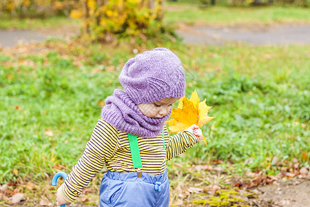 一个穿着紫色编织帽和围巾的孩子 秋天树背景下孩子的肖像 可爱笑脸男孩树木女性公园叶子幸福男生帽子快乐纺织品微笑图片
