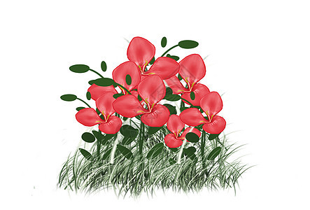 白色背景上的一丛粉红色花朵图片