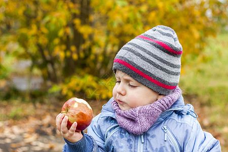 秋天的心情 一个男孩在黄色树叶的背景下摆姿势 吃着多汁的红苹果 一个孩子的秋天画象有一个苹果的 视线 可爱的微笑男孩季节游戏叶子图片