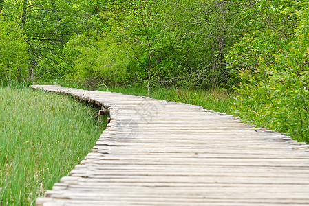 克罗地亚普利维茨湖泊国家公园中高高绿色草地 后面岩石和灌木丛之间木甲板的视图溪流国家公园路线小路旅行地标木地板途径游客图片