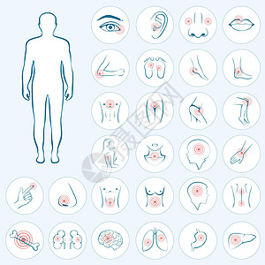 人体解剖学身体疼痛图片