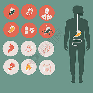 消化系统 ico图片