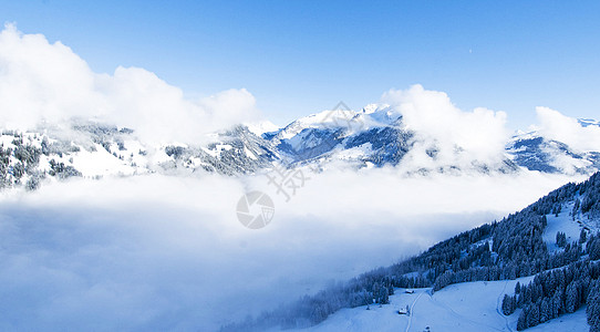 Gstaad 瑞士图片博主旅行照片公羊野生动物摄影笔记本生活日记假期图片