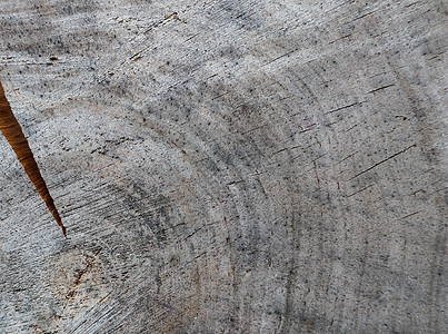 树干横截面的背景 带有裂缝的旧风化木环的抽象纹理木材森林老化林业木质木头地面戒指宏观日志图片
