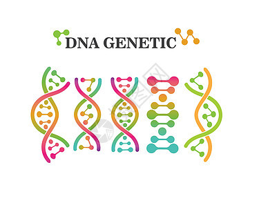 Dna 遗传标志图标它制作图案科学实验室生活细胞插图化学原子遗传学生物学测试图片