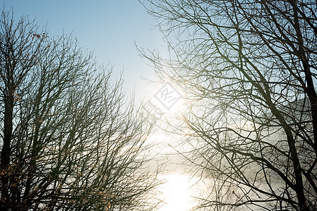 透过光秃秃的秋季树枝 望向田园诗般的明媚阳光 在湖中反射出薄雾 雾气和山脉 在乡村的日出时分 清晨清新图片