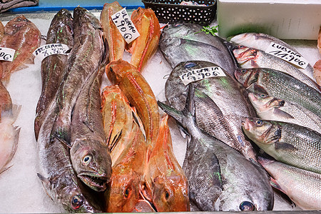 出售新鲜鱼海洋棕褐色盐水美食钓鱼饮食鲭鱼鲈鱼销售海鲜图片