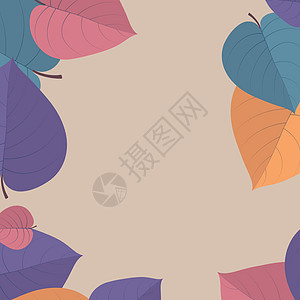 浅背景的现实秋天叶     矢量花园橡木季节横幅插图植物学艺术森林植物框架图片