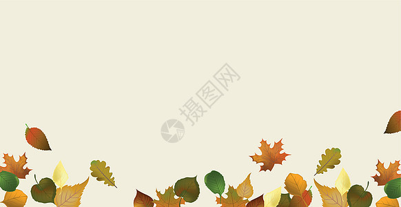 浅背景的现实秋天叶     矢量卡片植物季节框架森林横幅橡木植物群艺术插图背景图片