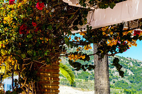 紧闭着一个美丽的arbor 上面布满爬树植物 花朵多彩 放轻松的地方玫瑰小路途径叶子建筑学乔木隧道衬套凉亭格子图片