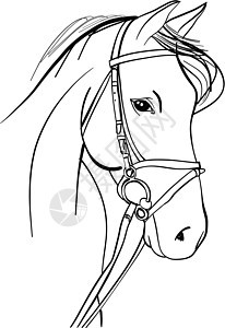 马手绘草图艺术小马绘画赛车手马背动物园涂鸦线条哺乳动物骑士背景图片