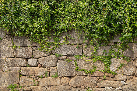 植物生长在沃尔玛顶部公园石头树篱绿色叶子建筑学花岗岩花园栅栏白色图片
