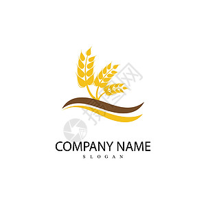 小麦logo农业大麦高清图片