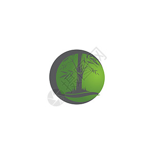竹 Logo 模板矢量图标插图设计叶子温泉商业标识热带按摩植物艺术圆圈木头图片