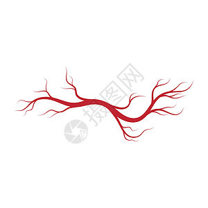 人体静脉和动脉插图设计血管红色眼球眼睛解剖学宏观标识曲线生物学医疗背景图片