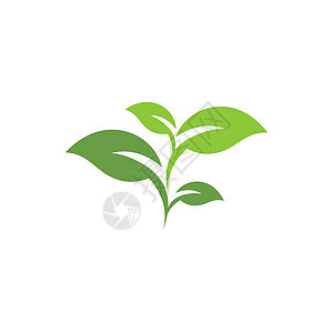 叶标志模板矢量符号环境插图生物叶子植物生长绿色生态装饰品背景图片