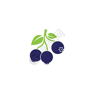 它制作图案蓝莓标志矢量模板图标食物饮食健康水果叶子浆果标识插图花园菜单图片