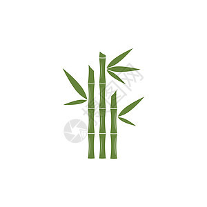 带有绿叶矢量图标模板的竹标志草本商业竹子木头绿色温泉标识植物艺术叶子图片