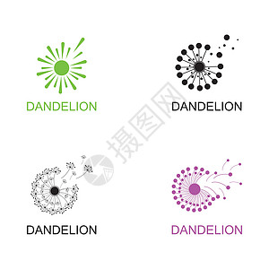 蒲公英矢量图标设计植物学生态插图打印标识艺术收藏生长网络商业图片