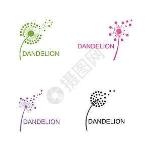 蒲公英矢量图标设计网络插图打印植物学标识生态生长艺术收藏商业图片