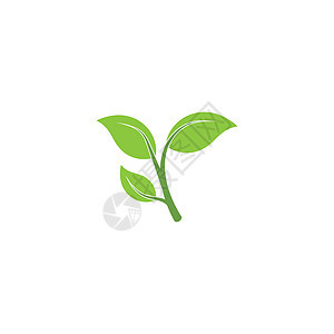 叶标志模板矢量符号生物叶子植物装饰品插图绿色生态生长环境背景图片