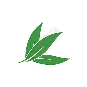桉树叶标志矢量模板设计香气叶子植物标识防腐剂生态绿叶草药绿色桉树图片