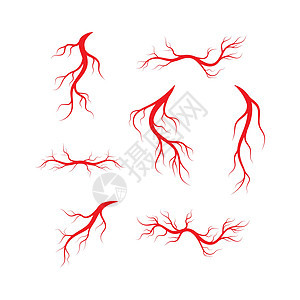 人体静脉和动脉插图设计红色药品标识解剖学宏观医疗血管眼睛眼球曲线图片