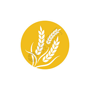 农业小麦模板矢量图标设计植物农场食物金子燕麦横幅健康营养标识质量图片