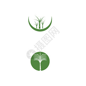 甘蔗 Logo 模板矢量符号食物植物地球燃料叶子生物农业种植园标识农场背景图片