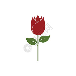 玫瑰花朵标志模板 vecto商业插图叶子植物花园温泉创造力标识图片