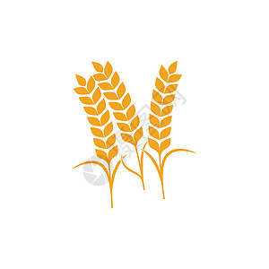 农业小麦模板矢量图标设计标签燕麦产品标识生长食物金子营养横幅健康图片