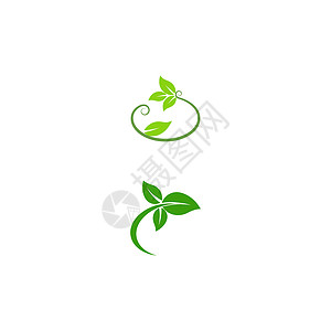 叶生态标志模板 vecto生活白色插图环境网络叶子植物绿色背景图片