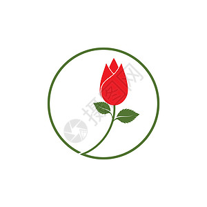 玫瑰花朵标志模板 vecto叶子商业插图创造力温泉植物花园标识图片