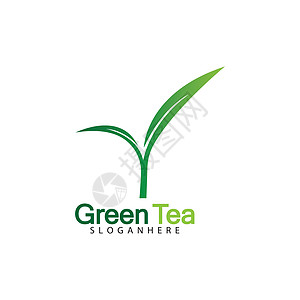 基于白色背景矢量图像的绿茶叶标志矢量图标插画设计草本植物杯子生活标签生态饮料化妆品标识商业艺术图片