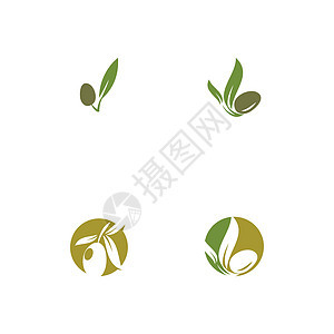 设置橄榄图标矢量它制作图案包装农业树叶烹饪产品蔬菜标签叶子处女食物图片