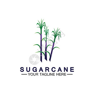 甘蔗标志图标符号矢量图解设计模板农场标签收成热带植物果汁农业叶子标识食物图片