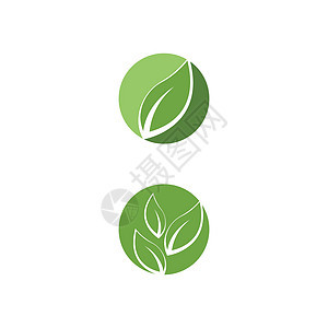 叶标志模板矢量符号插图叶子绿色生态生长环境装饰品生物植物背景图片