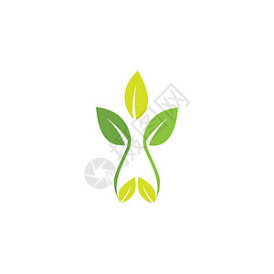 叶标志模板矢量符号插图植物装饰品叶子环境生长生物绿色生态背景图片