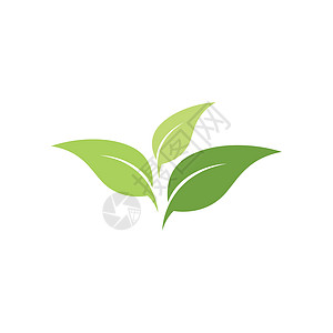 绿色树叶生态自然元素的标志推广公司环境商业艺术生长平衡品牌回收企业图片