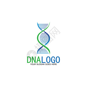 Dna 矢量标志设计模板 现代医学标识 实验室科学图标符号 彩色药理学标志vecto染色体生物学化学基因组技术生物研究螺旋代码生图片