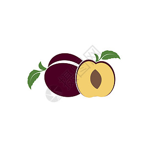 梅花标志矢量图标设计饮食插图紫色标识植物李子绿色食物艺术水果图片
