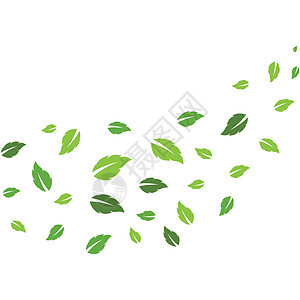 飞叶标志矢量绿色草本树叶环境叶子生态插图白色季节植物背景图片